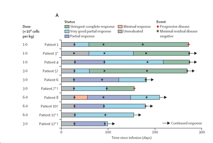 Treatment response of patients after infusion of oricar-017