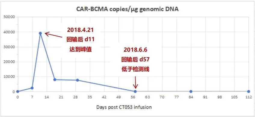 Car-t cell expansion monitoring