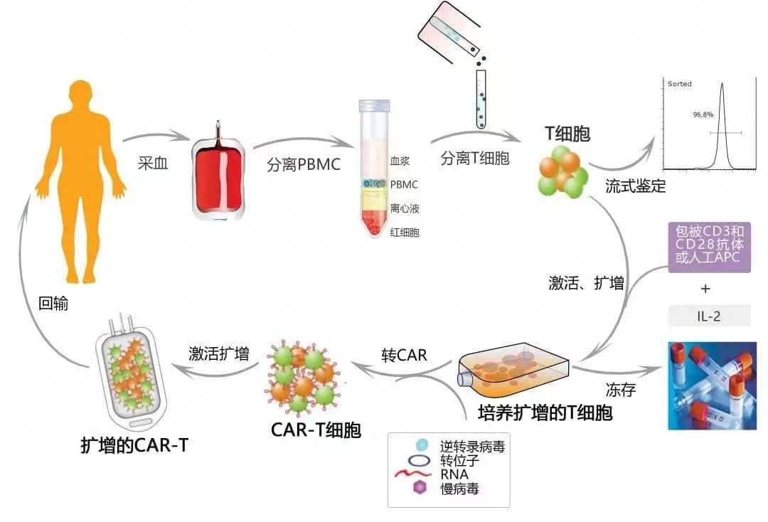 Car-t treatment process