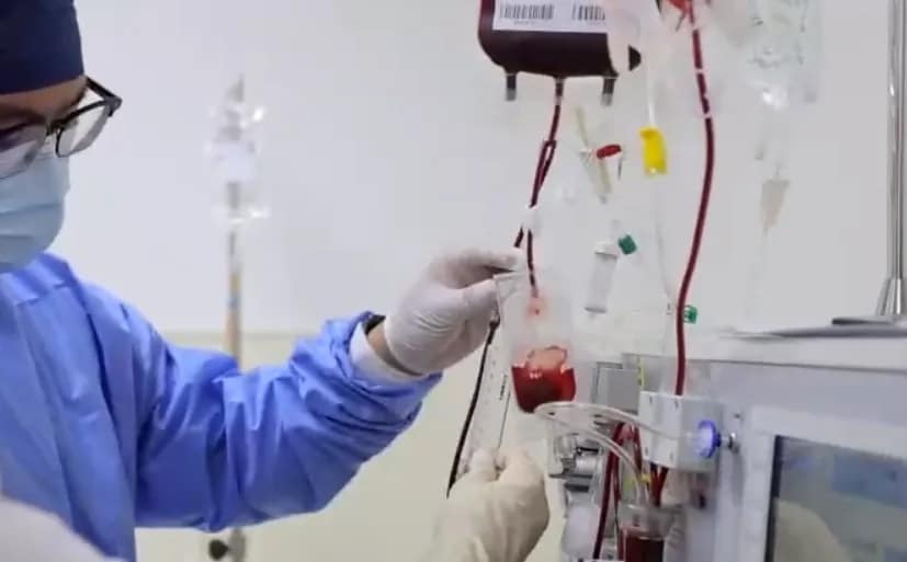 Car-t cell apheresis